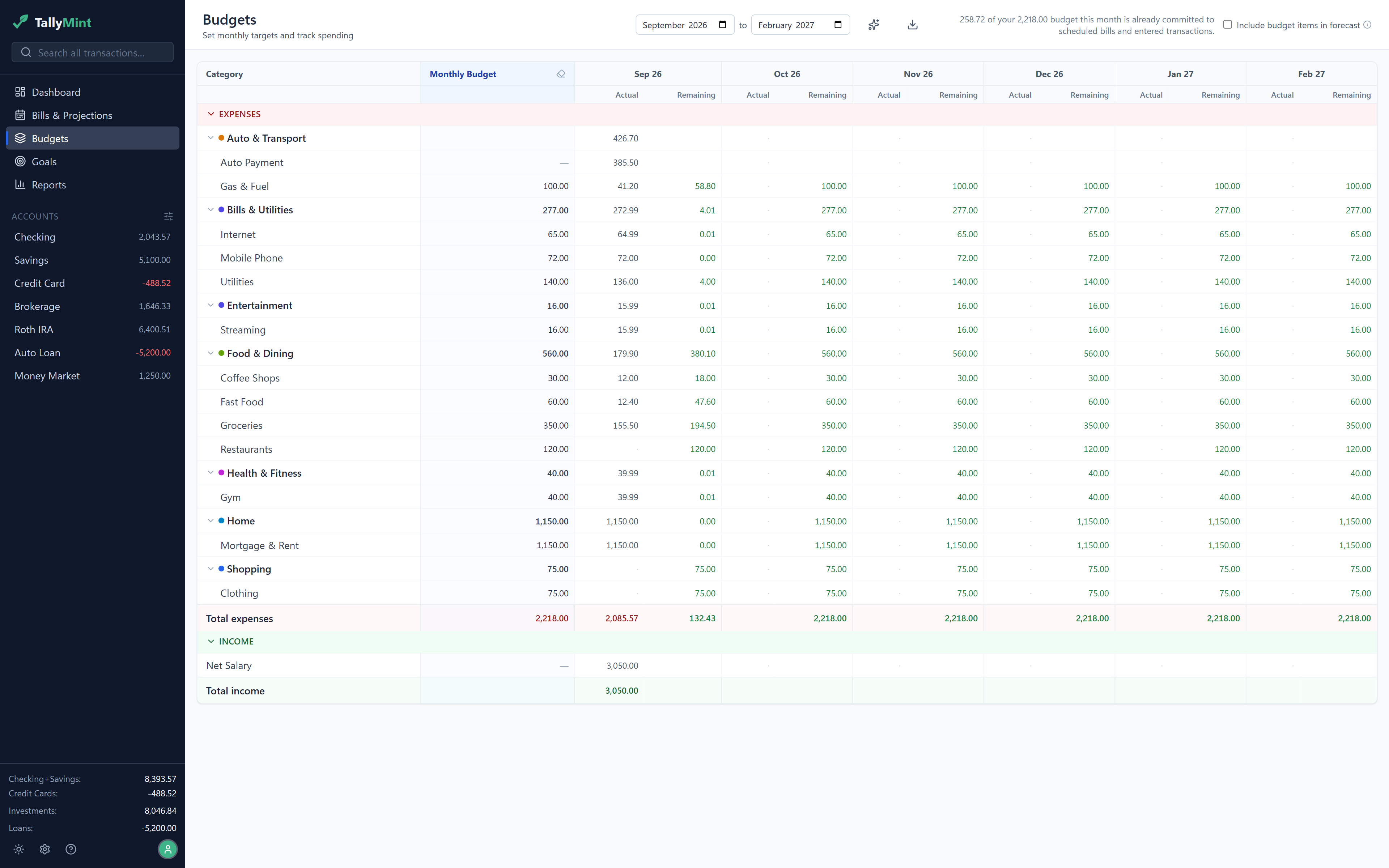 TallyMint Web showing the budget grid with a monthly target for each category and the actual and remaining columns beside it